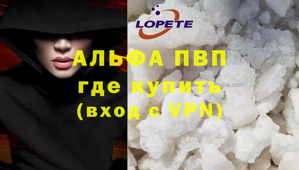 spice Богданович
