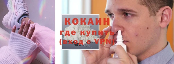 spice Богданович