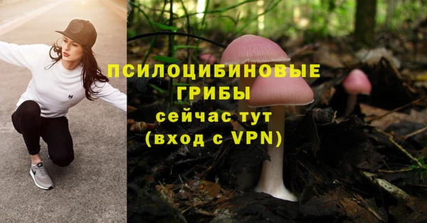 ECSTASY Богородск